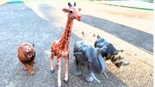 Zoo Animals for Kids 🦁 Learn Animal Names, Sounds & Colors