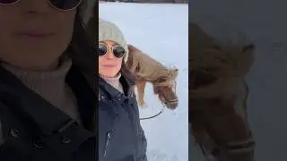 Pony ist bockig 😱🐴❄️ #pferd #horse #stallvlogg #pferdeliebe #tiere #equestrianjourney #ponyliebe