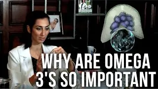 Why Omega-3 Is Essential for Disease-Reversal & Health