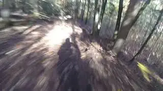 Ride NoCo Senduro