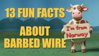13 Fun Facts About Barbed Wire (Part 2 of the Barbed Wire Series)