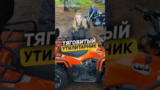 Полноприводный квадроцикл за 500.000р - Wels ATV Extreme 330 #квадроцикл #offroad #квадро #atv