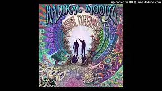 Radikal Moodz & Synkronic - Infinite Playground