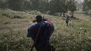 huila chiter Red Dead Redemption 2