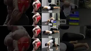Triceps Workout At Home | Beginners Tricep Workouts At Home | Triceps Exercises At Home No Equipment