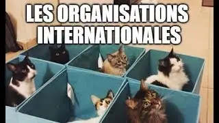 Les organisations internationales