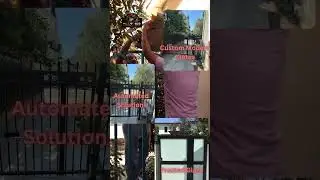 Metro GDS Inc &ndash; Custom Modern Gates | Frosted Glass, Wrought Iron & Automated Solutions