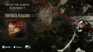 In Vein - Tortured Pleasure (Audio)