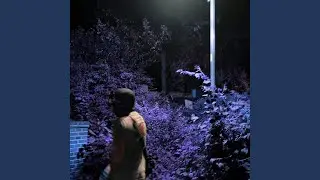 Hide and Seek