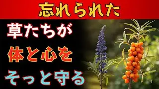 たった一口で効く⁉ 忘れられた二十の薬草が、あなたの体と心を静かに癒す