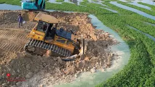 Great Power Dozer Equipment Skill Clearing Soils Crossing Mud With Dump Truck Excavator