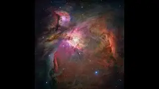 [FREE] - 