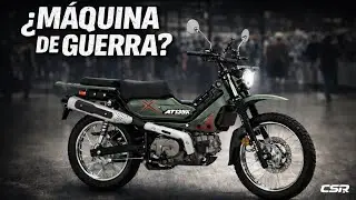 &iexcl;WOW! 🤩 &iexcl;ITALIKA AT 135 X! les presento a la nueva sensaci&oacute;n  CHARLY SOBRE RUEDAS