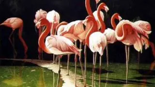 Dance of the Flamingos (original piano)