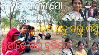 ନୂଆ ବର୍ଷ ପାଇଁ କଲୁ plan# ମୋ ଜନ୍ମଦିନ କେମିତି ପାଳିଲି#ଏଇ ମଠ ର ରହସ୍ୟ କଣ#village vlog#full video 