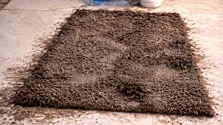 EXTREMELY Dirty Carpet Cleaning 😱 | Most Satisfying ASMR