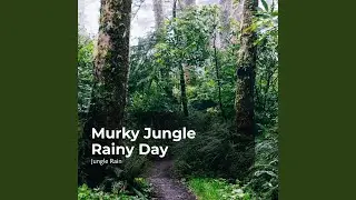 Woodland Rainy Day