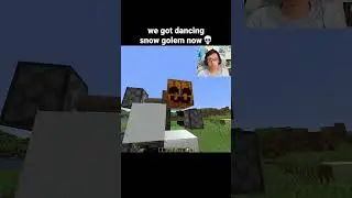 Minecraft Dancing Snow Golem Moment