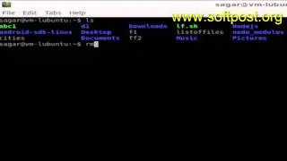 How to force delete a file in Bash