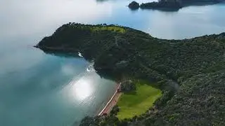 Omarino