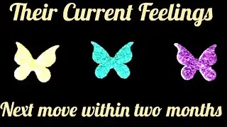 PICK A CARD-THEIR CURRENT FEELINGS+NEXT MOVE WITHIN TWO MONTHS + Initials +Sai baba messages