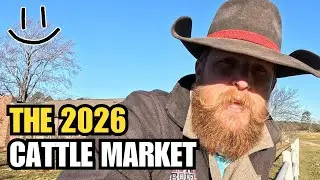 The 2026 Cattle Market So Far - Smiling Bovine Ranch