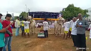 RK bulls వేటపాలెం