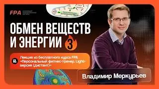 Обмен веществ и энергии. Часть 3. Преподаватель Владимир Меркурьев