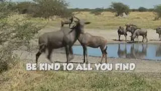 Be Kind - Nature Jams - Lyrics Video
