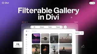 How to Create a Filterable Gallery in Divi