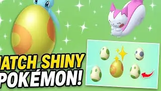 Hatch SHINY Pok&eacute;mon from GO Fest 2025 Special Eggs!