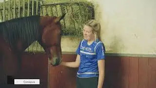 Stallansatt Ane Hammersborg tilbake der alt startet