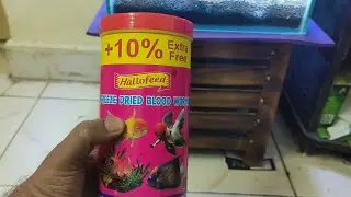 Hallofeed Freeze Dried Blood Worms Review in Telugu