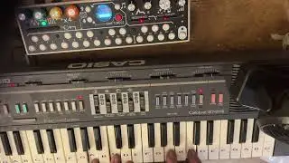 Mustard seed shaker.                                  Casio mt-205 and round robin by magpie pedals 