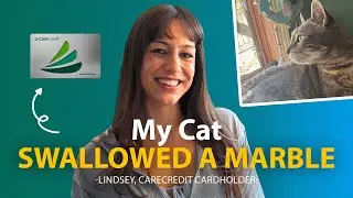 CareCredit Stories: Veterinary Care for Sebastian the Marble Swallowing Cat
