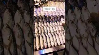 Amazing fish variety fresh Sea fish 🐟🐟🐟 #youtubeshorts #viralvideo#fishcutting #fish#youtubevloggers
