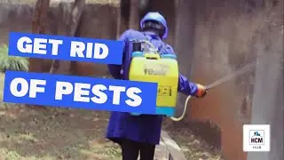 Get totally Rid of pests