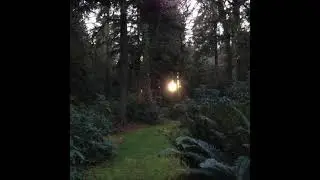 (free for profit) *hyperpop* juno x midwxst type beat 