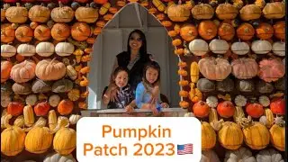Pumpkin Patch in America.