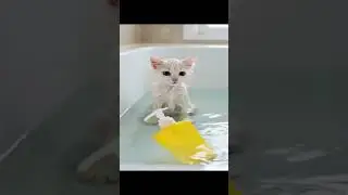 Silly Zoomer Fighting a Mirror &ndash; Try Not to Laugh!