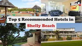 Top 5 Recommended Hotels In Shelly Beach | Luxury Hotels In Shelly Beach