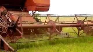 Косьба нива+жвн 6