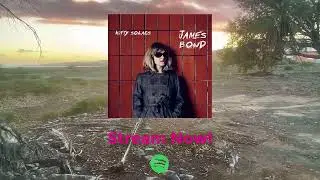 KittySolaris - New Album 