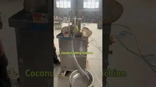 Contact me if you need #thick coconut cutting machine #coconut processing equipment #coconut crusher