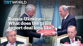 Russia-Ukraine: What does the grain export deal look like?