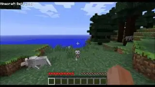 Minecraft Wolfsh&uuml;gel