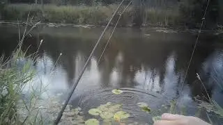 Roadside Rest Stop Fishing 🎣🚗