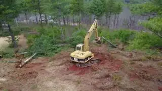 Cat 315c clearing trees