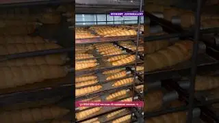 क्रीम रोल🤤Massive Cream Roll Making in Factroy😍 #creme #roll #viral #trendingfood