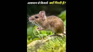 onion facts #shorts #trendingshorts #viralvideo #youtubeshorts #factsinhindi